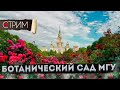 Ботанический сад МГУ – СТРИМ