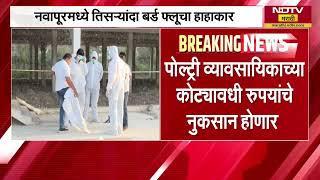 Nandurbar Navapur Bird Flu | नागपुरात तिसऱ्यांदा बर्ड फ्लूचा हाहाकार, कोट्यवधींचं नुकसान?