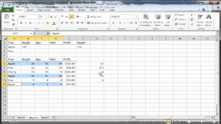 XL2010-Functions-Database-DSUM-DAVERAGE-DCOUNT
