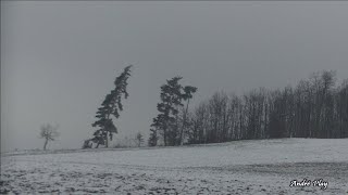 Brumes de froidure chemin de Montauroux 12 janvier 2024 à Fraisses