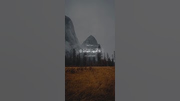 آيات من القرآن الكريم 💞 سورة الروم 💞 الآية 44