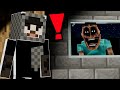 This Minecraft Dweller Is Inhumane… THE MIMICER