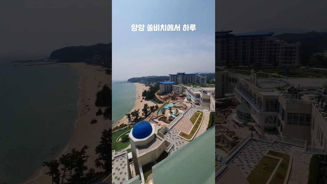 리조트 3대장 삼척 쏠비치 일출 보고 왔어요~ #shorts #일출명소 #삼척 #쏠비치 #힐링 #여행