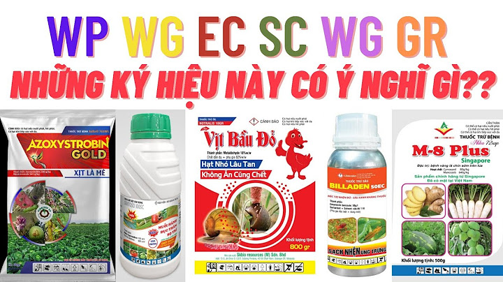 Exf 1.10.04 ở hộp thuốc ghi là gì năm 2024