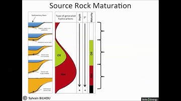 2. Source Rock 1