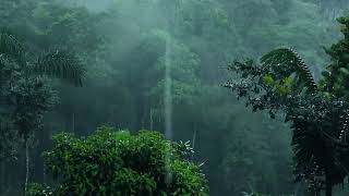 Sait Uçar| Kavuştum Düğününe