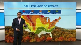 Fall foliage peak pushed back in the St. Louis area Florida Boy Finds Fall Foliage In St Louis