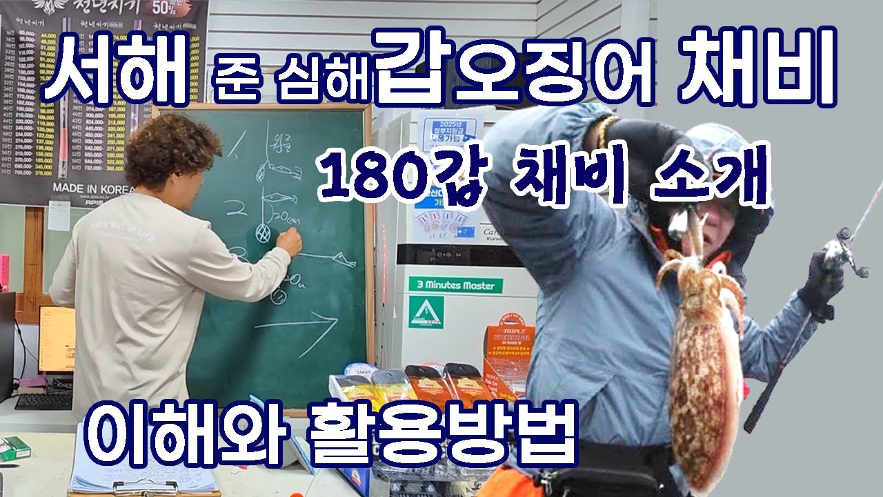 서해 갑오징어 180마리 낚는 채비와 대포 갑 채비의 이해 활용방법