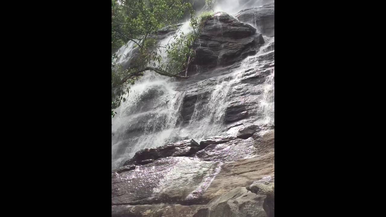 Yercaud falls