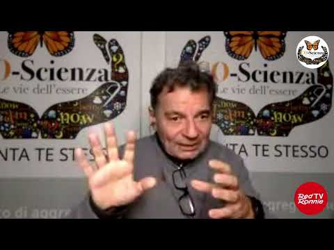 Video: Gli scienziati hanno scoperto il segreto delle ali pieghevoli della coccinella