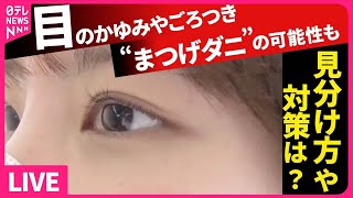 【目まとめ】目のかゆみ・ごろつき　原因は花粉ではなく“まつげダニ”？”/“ドライアイ”増え高価格目薬も…/画面見る時間増え…疲れ目の解消法は“涙”――ニュースまとめライブ（日テレNEWS LIVE）