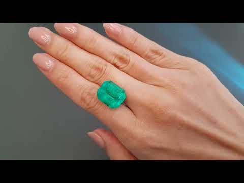 Large Vivid Green Colombian emerald 13.26 carats Video  № 1