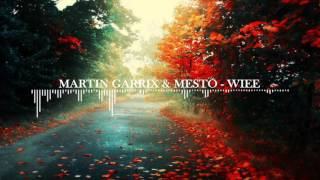 Martin Garrix & Mesto - WIEE