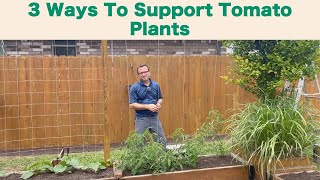 3 Ways to Support Tomato Plants
