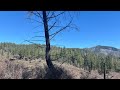 Turkey scouting in southwest Oregon/getting ready for turkey season(We got turkeys 💪🦃)