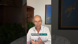 Dr. John Recommends Neem For Healthy Biofilm. Shop Neem At Store.lifespa.com.