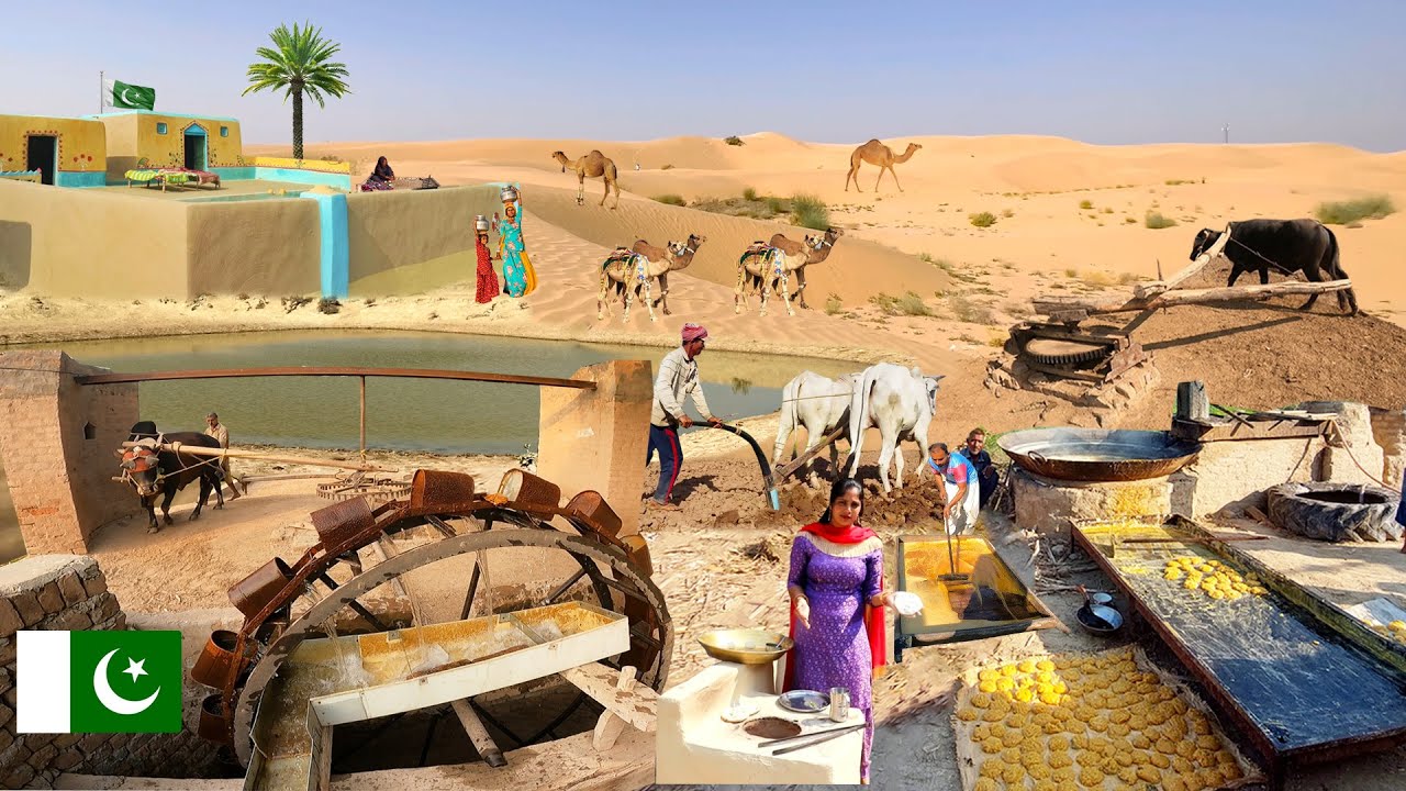 Unseen Beautiful Village Life in Pakistan | Traditional Desert Village Life | Old Culture of Punjab