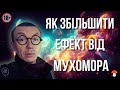 Як збільшити ефект від мікродозу мухомора червоного!