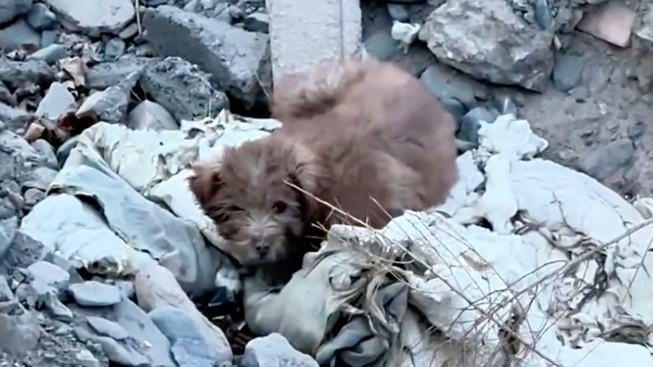 Body was feverish, he was shivering lying in the middle of an abandoned construction site, crying