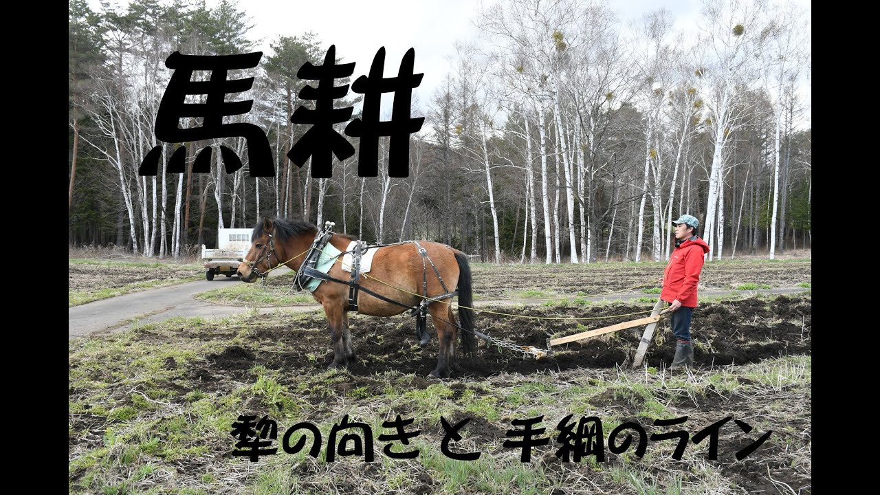 犂と手綱 Traditional Japanese plows and reins - YouTube