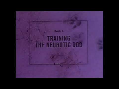 Rembrandt Films | How To Live With A Neurotic Dog