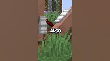 This Minecraft Villager Is Uhh...