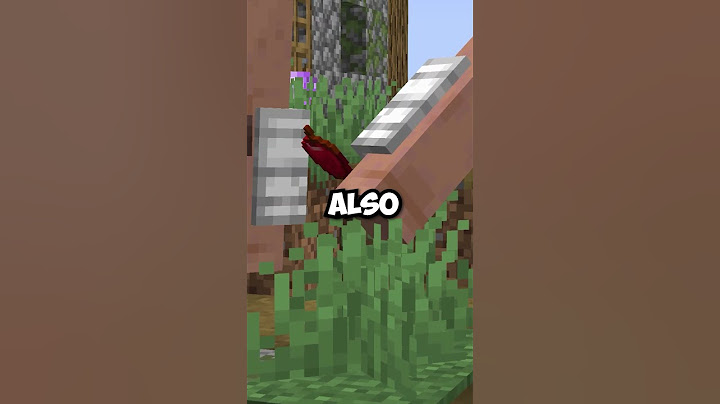 This Minecraft Villager Is Uhh...