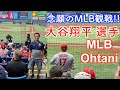 【大谷翔平選手】念願の MLB 観戦 !! タンパベイレイズVSロサンゼルスエンゼルス フロリダ 生活