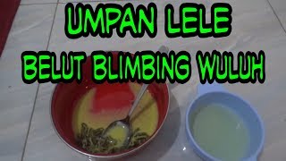 UMPAN LELE Belut Blimbing Wuluh