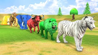 Long Slide Game With Elephant Gorilla Buffalo Hippopotamus Tiger - 3d Animal Game - Funny 3d Animals