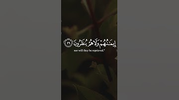 سورة السجدة | الآية ٣٠-٢٩ تلاوة عبد الرحمن مسعد