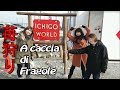 A Caccia di Fragole! - Vivi Giappone