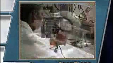 AccuPlace Industrial Film Adhesive Placement