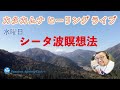 シータ波瞑想でワンネスを感じよう〜カタカムナヒーリングライブ  Vol.95
