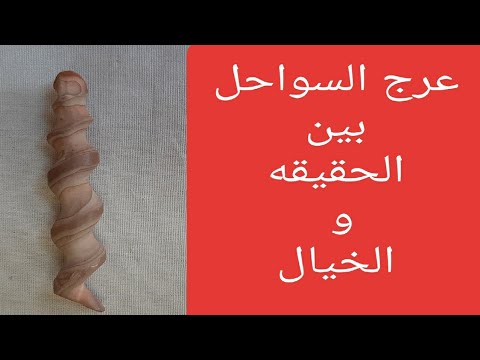 كل ما تريد معرفته عن عرج السواحل