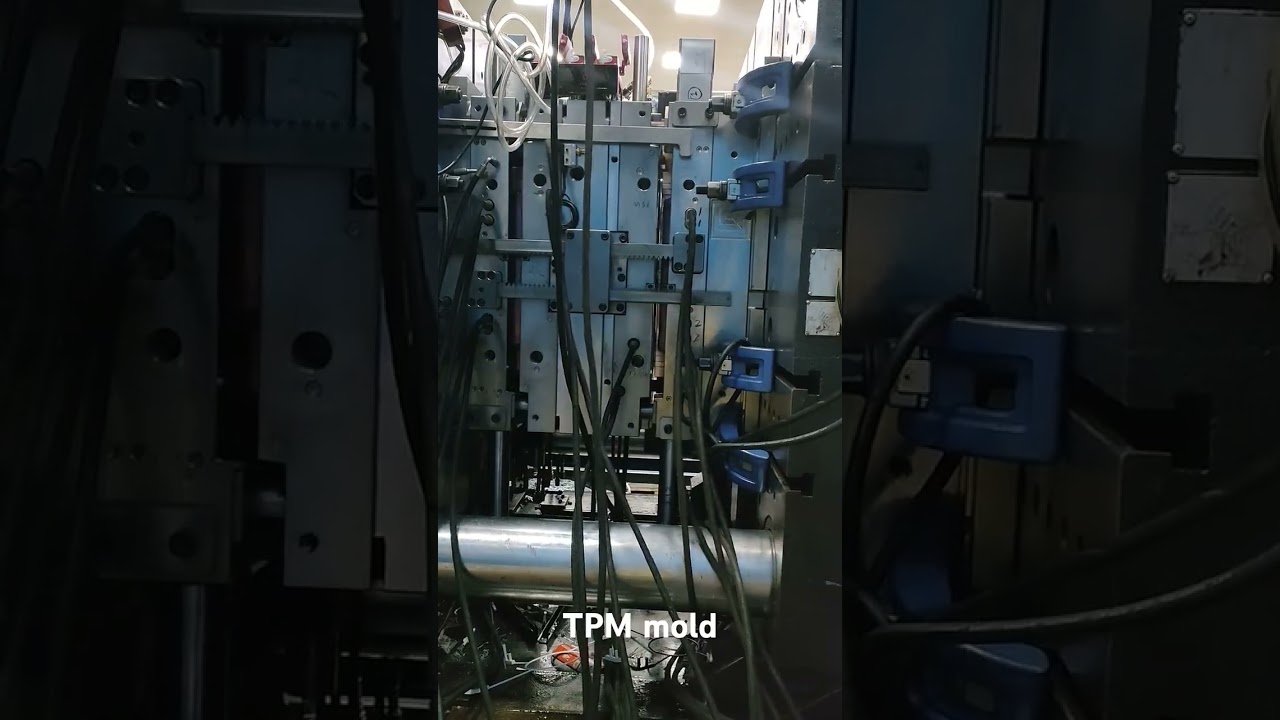 #tpmmold