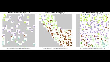 Source Sink Dynamics in Simulated Forest Reserves