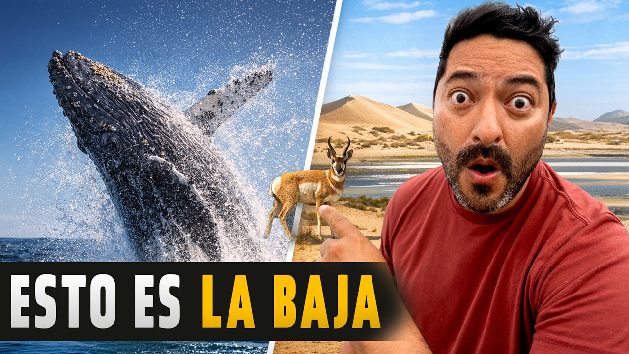 Guerrero Negro tiene un secreto… y no son las ballenas 🇲🇽 Ruta x Baja 06