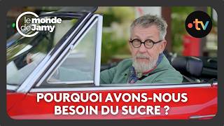 Sucre : pourquoi sommes-nous programmés pour l’aimer ? - Le monde de Jamy