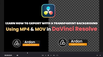 How to Export with a Transparent Background Using MP4 & MOV in DaVinci Resolve • Step by Step Guide