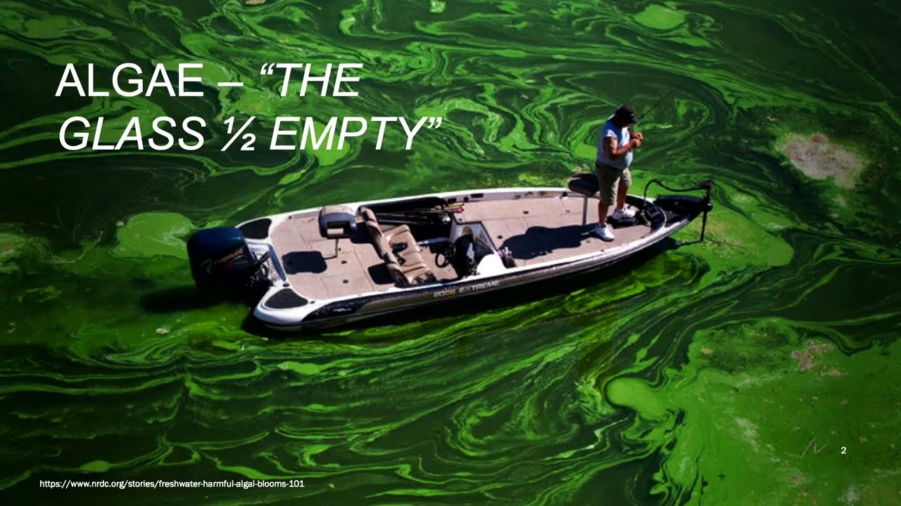 Dr. Stan Pankratz - Algae Cultivation for Protein