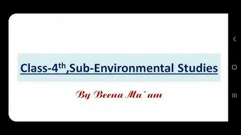 CBSE Class 4/Fourth Environmental studies online class||Chapter 15 Bridges and buildings|| Part 2