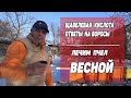 Щавелевая Кислота. Ответы на вопроси. Обработка пчел Весной. ВИДЕО #3