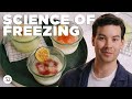 The Perfect Frozen Gimlet: How To Freeze Alcohol | Cocktail Class w/Harper Fendler | Food52 + Tito&#39;s