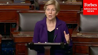 Elizabeth Warren Slams GOP Block Of Biden Federal Reserve Nominee Sarah Bloom Raskin