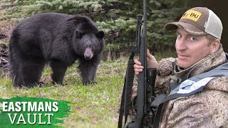 Stalking in close! Spring Bear Hunting