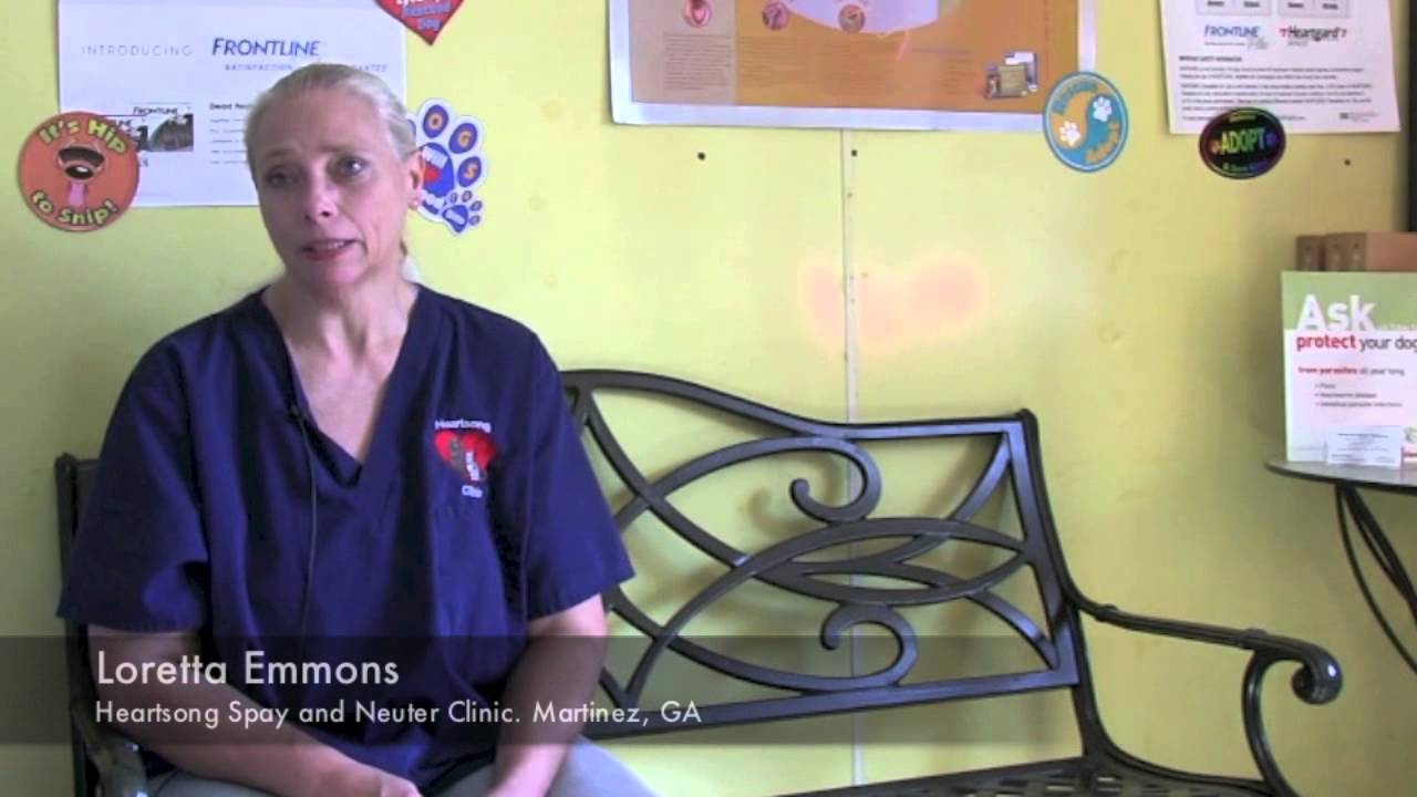 Video Testimonial Heartsong Spay and Neuter Clinic YouTube