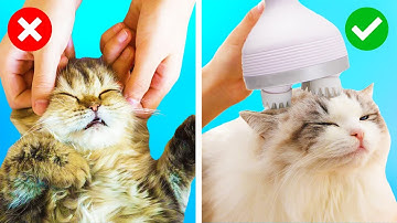 Avoid These Pet Care Mistakes: Ultimate Guide Revealed