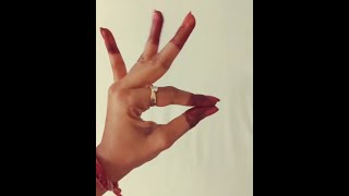 28 Single Hand Mudras Of Bharatanatyam In 42 Seconds Priyanka Raghuraman Indian Art Gallery