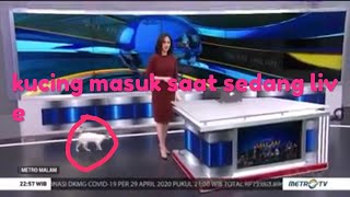 Download lagu kucing masuk metrotv saat live